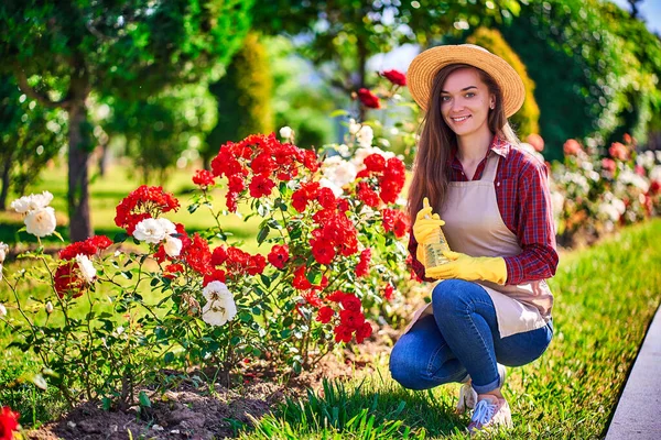 藁帽子の幸せな笑顔の女性庭師の肖像画 エプロンとバラの花を散水するためのスプレーボトルと黄色のゴム手袋晴れた日に裏庭で庭師の楽しみ — ストック写真