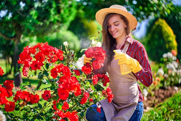 藁帽子 エプロン 黄色のゴム手袋で魅力的な幸せな笑顔の女性庭師スプレーボトルでバラの花を散水し 晴れた日に裏庭で庭師の楽しみ — ストック写真