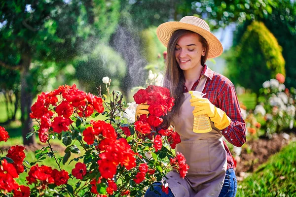 藁帽子 エプロン 黄色のゴム手袋の美しい幸せな笑顔の女性の庭師スプレーボトルでバラの花を散水し 晴れた日に自宅の庭で庭の庭の楽しみ — ストック写真