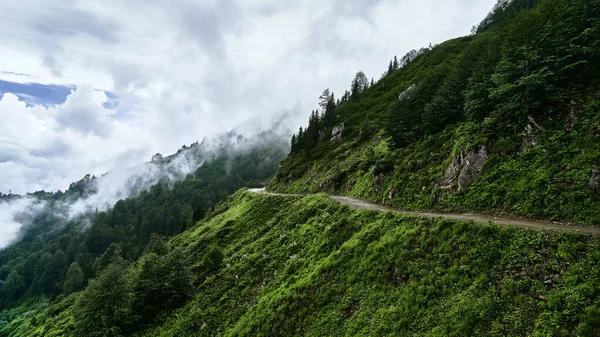 Mystic Idyllic Landscape Mountain Cliff Road Green Forest White Fog — Stock Photo, Image