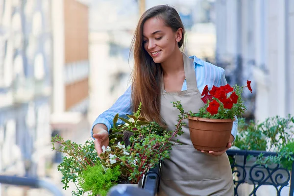 幸せな笑顔かわいい女性庭師エプロン保持フラワーポットペチュニアを身に着けているとバルコニー植物について世話をする — ストック写真