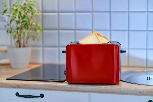 Modern Red Toaster Cooking Toasts — Stock Photo, Image