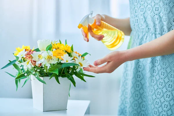 春の日にスプレーボトルで装飾的な帽子箱でカラフルな明るい新鮮な花に水をやる女性 — ストック写真