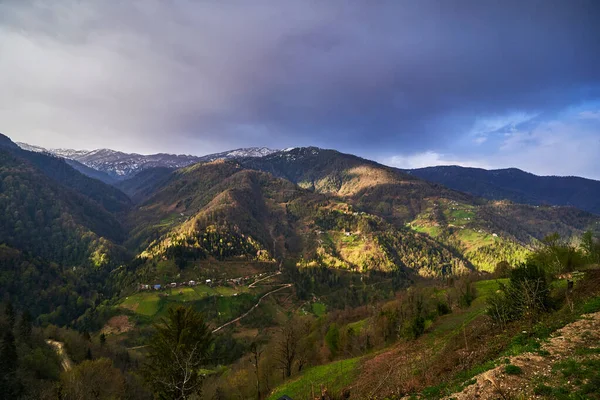 Удивительные Зеленые Величественные Горы Пейзаж Туманным Мистическим Небом — стоковое фото