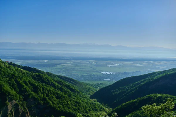 Landschaft Des Schönen Grünen Alazani Tals Der Region Kacheti Georgien — Stockfoto