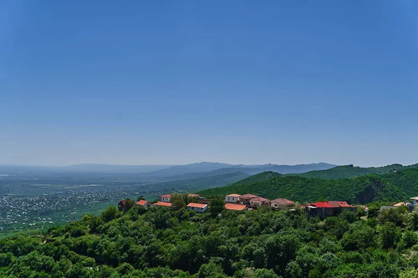 Gürcistan 'ın Kakheti bölgesindeki güzel yeşil Alazani Vadisi manzarası