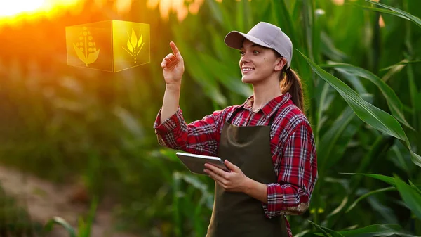 Mujer Agricultora Sosteniendo Tableta Con Tecnología Innovación Inteligente Industria Agronómica —  Fotos de Stock
