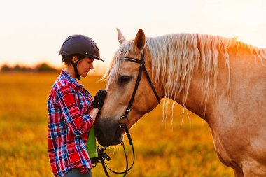 Genç, mutlu, neşeli, mutlu, güler yüzlü, kasklı, sarışın palomino atı okşayan, altın saatinde gün batımında çayırda gülümseyen bir kadın sürücü. 