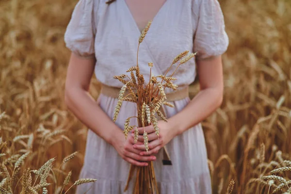 Klidná Klidná Žena Šatech Drží Rukou Snop Pšenice Létě Stojí — Stock fotografie