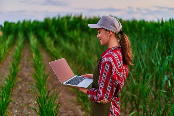 Mujer Agrónoma Agricultora Inteligente Que Utiliza Computadora Digital Para Examinar —  Fotos de Stock