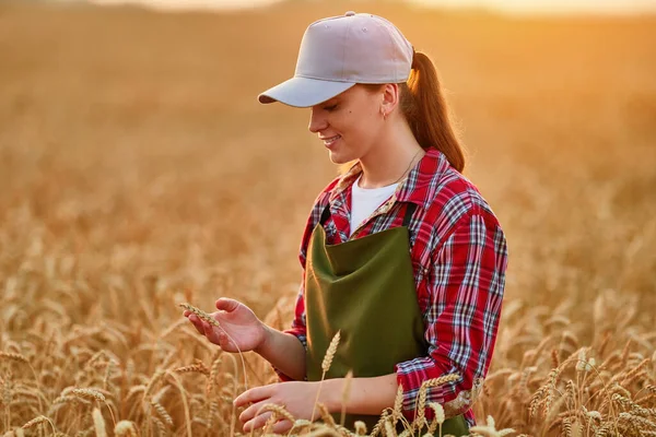Šťastný Usměvavý Mladý Farmářský Agronomista Stojící Zlatožlutém Poli Analyzující Pšeničné — Stock fotografie