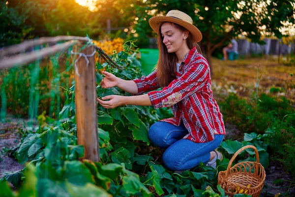 Gülümseyen Genç Bir Kadın Çiftçi Yetiştirdiği Bahçesinde Taze Yapımı Organik — Stok fotoğraf
