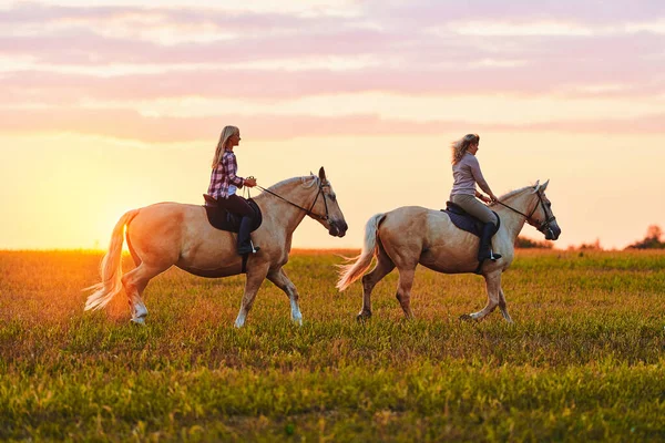 Horseback Riding Meadow Sunset Time — Stock Photo, Image