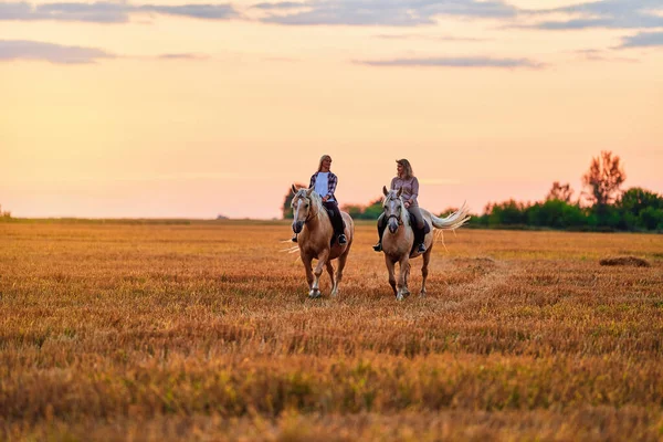 Passeios Cavalo Pelo Campo Durante Pôr Sol Fotografias De Stock Royalty-Free