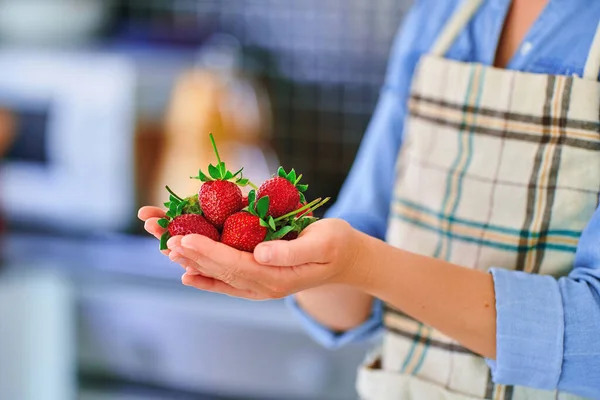 Weibliche Hände Halten Frische Reife Bio Erdbeeren — Stockfoto