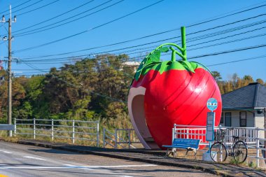 Kyushu, Japonya - 10 Aralık 2022: Meyve şekilli Tokimeki caddesi boyunca 207 numaralı otoyolun asfalt yolu üzerinde bir bisiklet, dev bir domates meyvesi olarak tasarlanan otobüs durağının önündeki bankın yanına park edilmiştir..