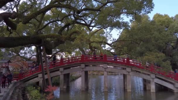 日本九州 2022年12月07日 大宰府神社の赤い太鼓橋を渡るアジア人観光客のパンビデオ モスで覆われた大きな草木の木を見下ろす — ストック動画