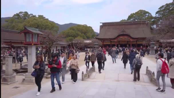 日本九州 12月 2022 有名な大宰府神社の本堂への道を案内する伝統的な木製ランタンに沿った砂道を歩く観光客のパンニングビデオ — ストック動画