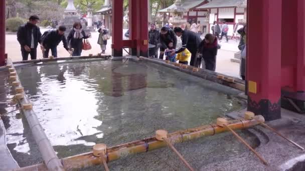 日本九州 2022年12月07日 大宰府神社で刻まれたミノガメの亀で飾られた寺宮やチザヤと呼ばれる汚染水で水で自分を浄化する観光客のビデオ — ストック動画