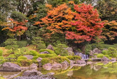 fukuoka, kyushu - 07 Aralık 2022: Japon Ohori bahçesindeki sakin sonbahar sahnesi, şelalenin dingin bir gölete düşerek yağmur damlalarıyla ıslanmış canlı kırmızı akçaağaç akçaağaçlarını yansıttığı yer..