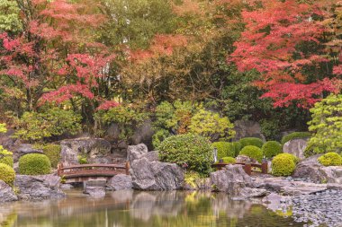fukuoka, kyushu - 07 Aralık 2022: Japon Ohori Bahçesi 'nden geçen tahta köprüler, yağmurlu bir sonbaharda kırmızı momiji akçaağaçlarının canlı renklerini zarifçe yansıtıyor..