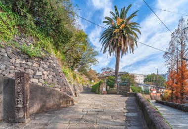 nagasaki, kyushu - 13 Aralık 2022: Hollanda yamacı ya da Hollanda yamacı olarak adlandırılan ve arka planda kentin eski yerleşim yerinin özel okul tarihi müzesine uzanan bir palmiye ağacı bulunan.