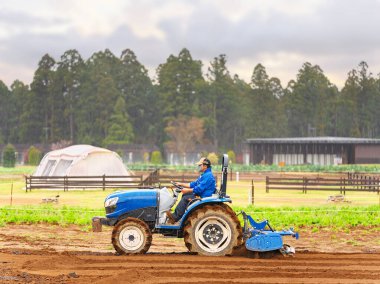 Resimli Japon kırsalında, yumuşak bir yağmurun ortasında, maske ve şapka takmış bir çiftçi nemli bir tarlada mavi bir traktör manevra yaparak nemli toprağı ekime hazırlar..