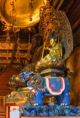 Tokyo, ueno - Jan 09 2024: Japon tanrısı Monju 'nun mavi kaplandaki Budist heykelleri, Gokokuin tapınağındaki merhametin sembolü olan zeka ve bilgeliğin sembolü Shaka..