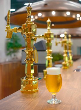 Köpüklü bir kafayla bir lale altın bira bardağı, bir bira fabrikasındaki ahşap tezgahın üzerinde oturur. Cama vurgu yapmak için sığ bir alan derinliğinde ele geçirilmiş altın bira muslukları bulunur..