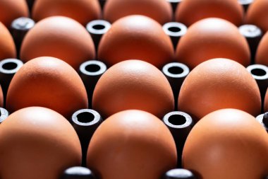 Tavuk yumurtalarını plastik tepside kapat.