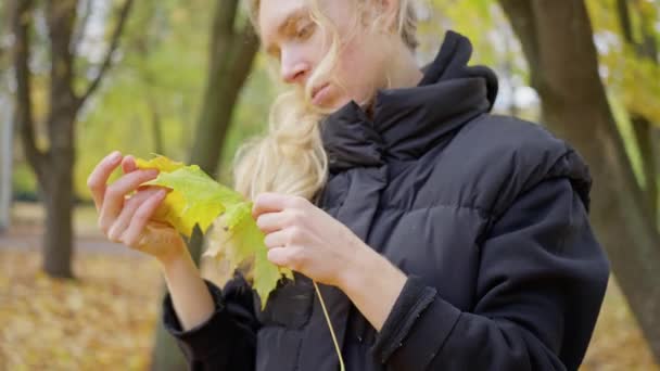 Ženské Ruce Dotýkající Větve Uschlými Suchými Listy Paprscích Slunečního Světla — Stock video