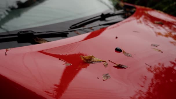 Жовте Листя Падає Червоний Автомобіль Осінні Дерева Відображаються Червоній Шапці — стокове відео