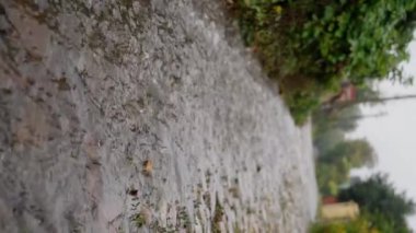 Şiddetli bir yağmurdan sonra su akar ve sıçrar, aşırı su bolluğu. Ağır çekim. dikey görünüm. Yüksek kalite 4k görüntü