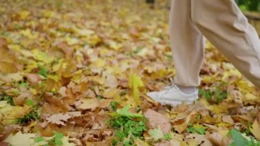 Ağır çekimde, siyah çizmeli kadınların ayaklarını kapat. Sarı sonbahar yeşilliklerinde yürü. Altın yapraklı, koyu renkli tek ayak yolu. Yüksek kalite 4k görüntü