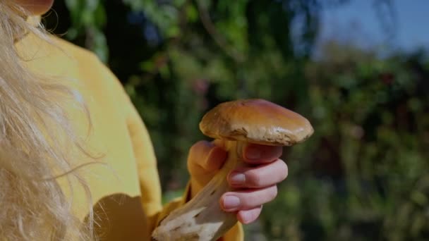 采摘季节 波西尼蘑菇 休闲和人的概念 紧紧地抱着各种美丽的蘑菇的年轻女子 在阳光明媚的秋天的森林里 慢动作高质量的4K镜头 — 图库视频影像