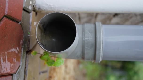 Close Strong Rain Water Flowing Out Rain Grey Drain Pipe — Stock Video