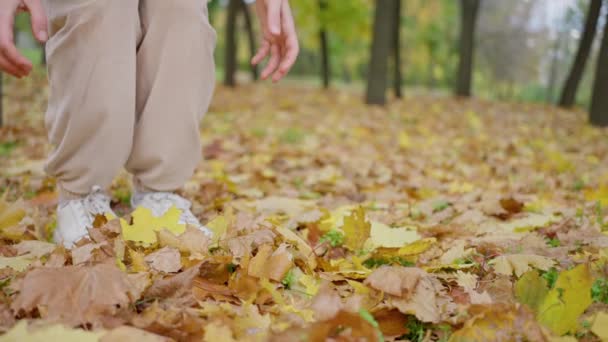 Fröhlich Schöne Frau Sammelt Gelbe Blätter Herbstlichen Park Zeitlupe Teenager — Stockvideo