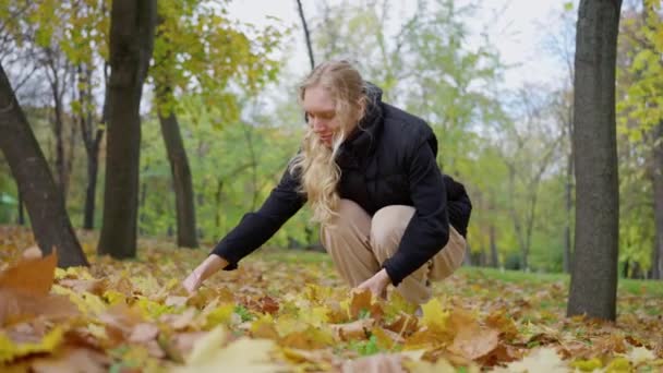Веселая Красивая Женщина Собирает Желтые Листья Осеннем Парке Медленное Движение — стоковое видео