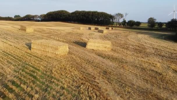 Hay Bale Field Drone View Field Hay Haystack Hay Stack — Stock Video