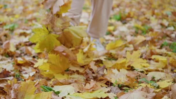 スローモーション 黒いブーツの女性の足を閉じる黄色の秋の葉の上を歩くと 黄金色の葉を持つ暗い唯一の足踏み歩道 高品質4K映像 — ストック動画