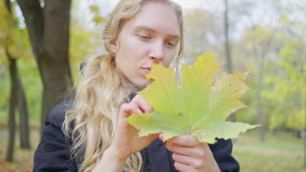 Kobiece Dłonie Dotykające Gałęzi Suchymi Suchymi Liśćmi Promieniach Słońca Kobieta — Wideo stockowe