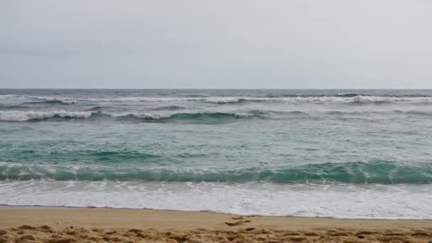 Όμορφη Άγρια Παραλία Γκρι Μπλε Του Ουρανού Συννεφιασμένο Καιρό Μεγάλα — Αρχείο Βίντεο