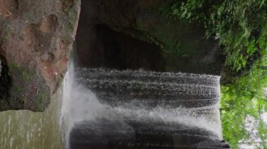 Bali 'de güzel bir şelale, Endonezya, Suwat şelalesi, yavaş çekim, dikey manzara. Vahşi orman ve dağ nehri. Yüksek kalite 4k görüntü