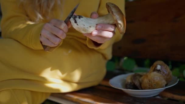 Ένα Ενήλικο Κορίτσι Καθαρίζει Μανιτάρια Πορτσίνι Στον Κήπο Μαχαίρι Κλείστε — Αρχείο Βίντεο
