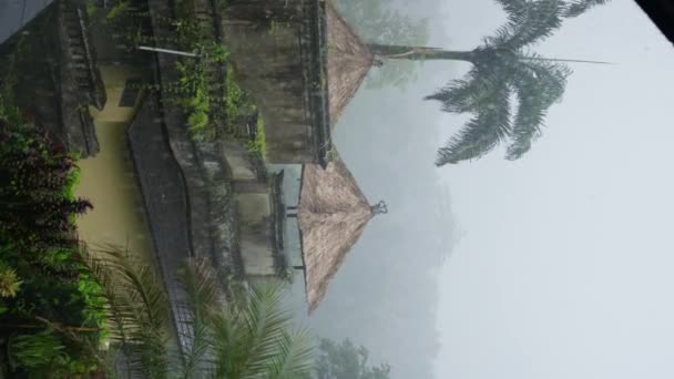 Туманний Пальмовий Ліс Хатини Під Дощем Затишний Двір Басейном Вертикальне — стокове відео