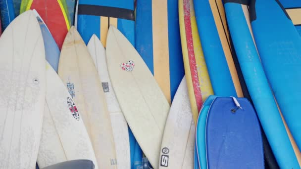Numerosas Tablas Surf Azules Largo Pared Crean Una Escena Arte — Vídeos de Stock