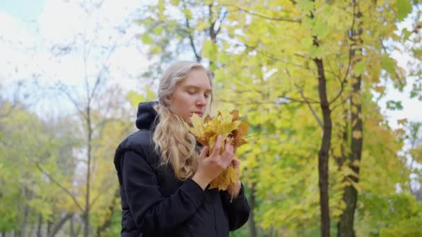 งสาวผ ใหญ บการเด นเล นในสวนสาธารณะส ดดมกล นของใบไม วงในอากาศ การเคล อนไหวช — วีดีโอสต็อก