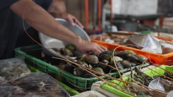 Auf Dem Fischmarkt Bringt Ein Verkäufer Einem Schwarzen Shirt Muscheln — Stockvideo