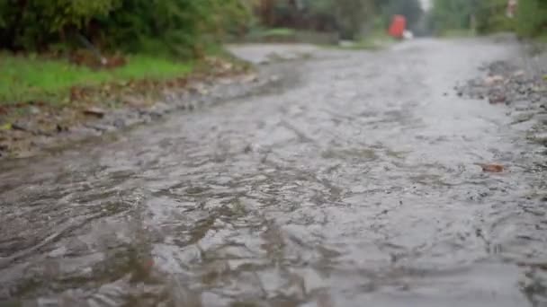 폭우가 쏟아진 흘러넘쳐 흐른다 고품질 — 비디오