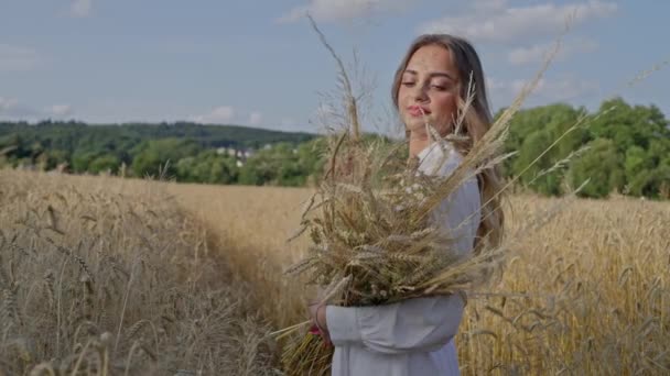Утром Красивая Украинка Белом Платье Пшеничном Поле Уши Пшеницы Руках — стоковое видео